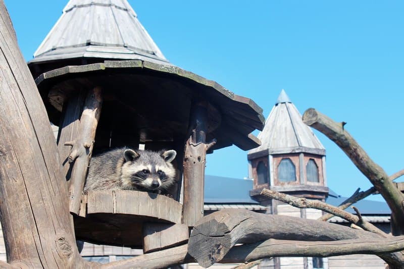 ПАРК ЖИВОТНЫХ ДИПРИЗ